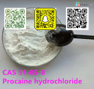 High quality Procaine hydrochloride cas 51-05-8 with safe shipping