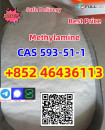 Experienced Supplier CAS 593-51-1 High Quality Best Price Fast Delivery   Add +852 46436113