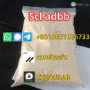 5cladba precursor adbb powder with high quality 