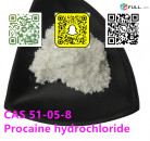 Low price  Procaine hydrochloride cas 51-05-8 with safe shipping