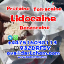 Factory Supply Lidocaine powder 99% CAS 73-78-9 Best Price Pure Lidocaine powder