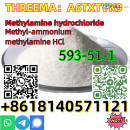 Methylamine Hydrochloride cas 593–51–1