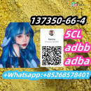 Strong effect 5CL adbb adba137350-66-4