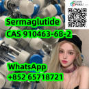 anti-obesity drugs Sermaglutide 910463-68-2