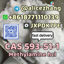 CAS 593-51-1 Methylamine hcl high quality best sell factory supply whatsapp:+8618771110139
