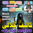 Tantrik amil baba ,black magic specialist in USA America