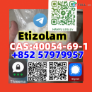 Etizolam  CAS:40054-69-1+852 57979957