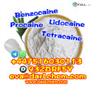 Pharmaceutical 99% Purity Benzocaine powder Ethyl Ester CAS 94-09-7 in Stock